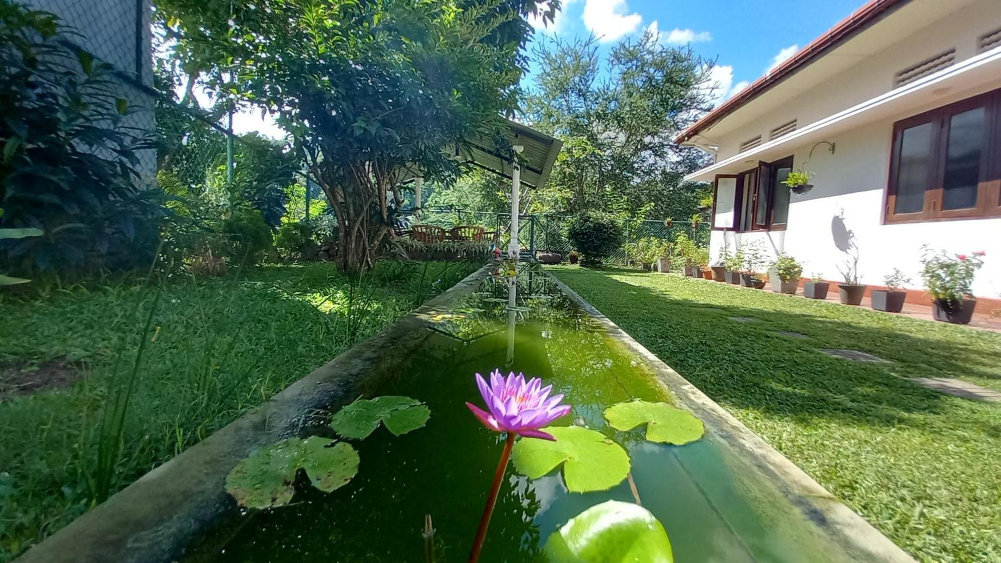 Mahaweli Shades Hotel Kandy Exterior foto