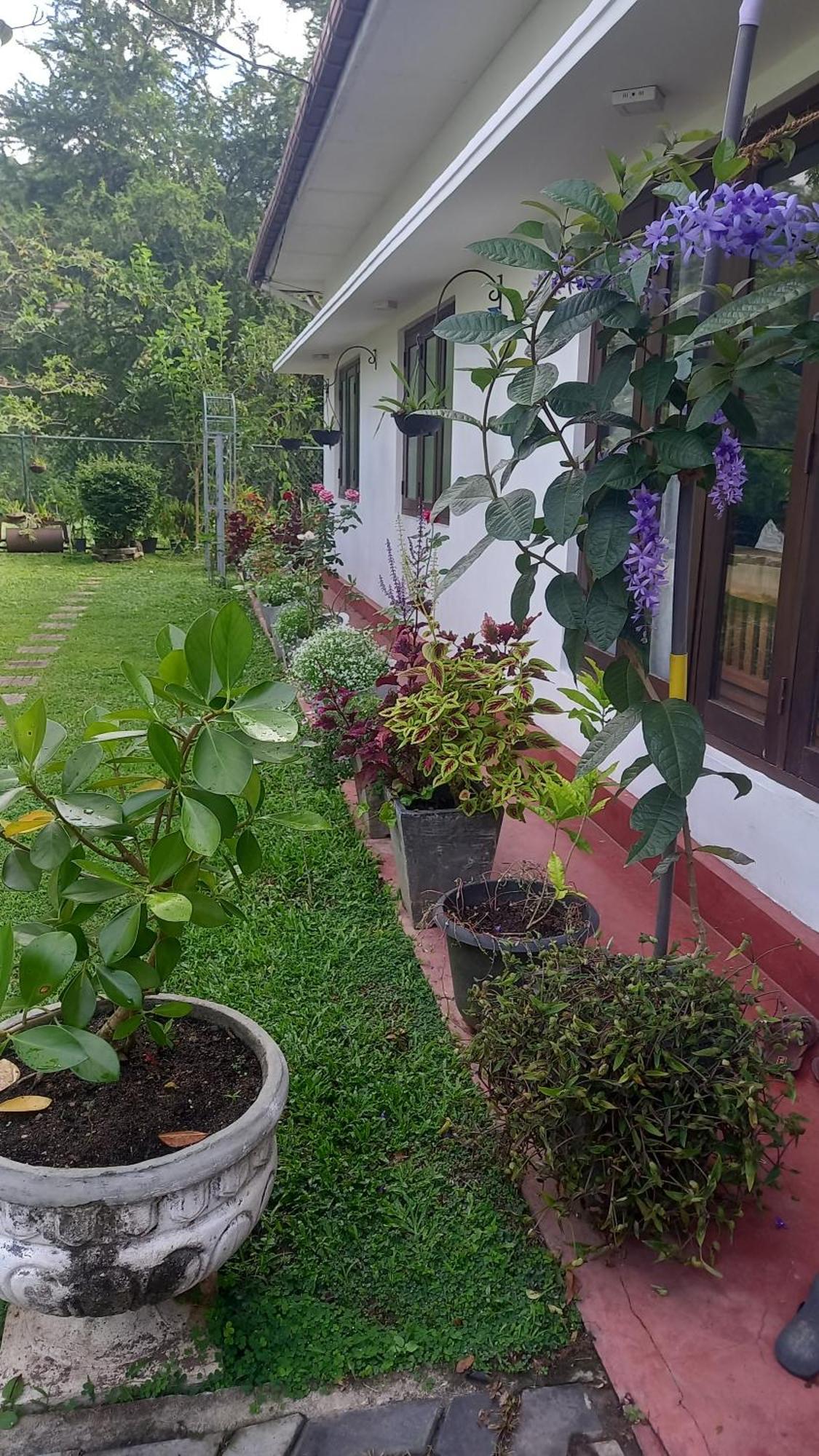 Mahaweli Shades Hotel Kandy Exterior foto