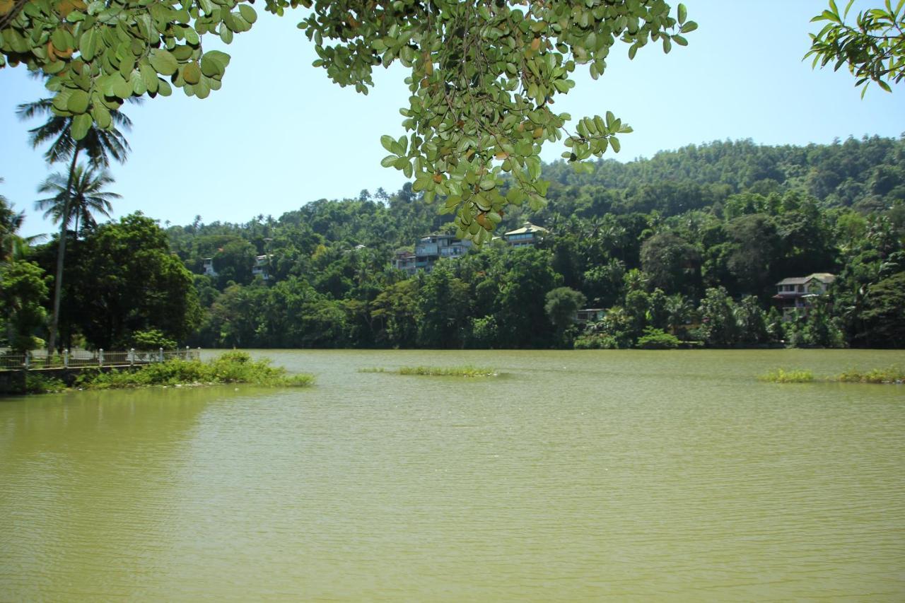 Mahaweli Shades Hotel Kandy Exterior foto