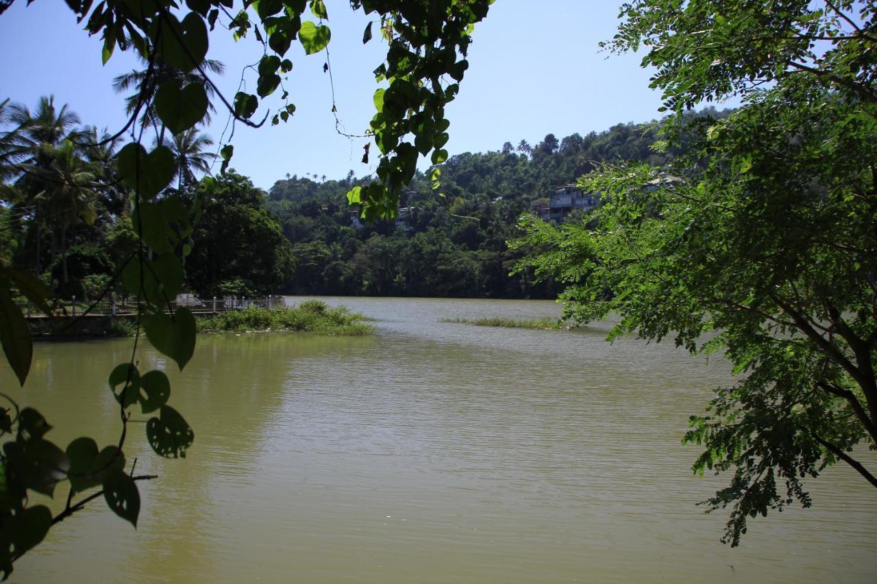 Mahaweli Shades Hotel Kandy Exterior foto